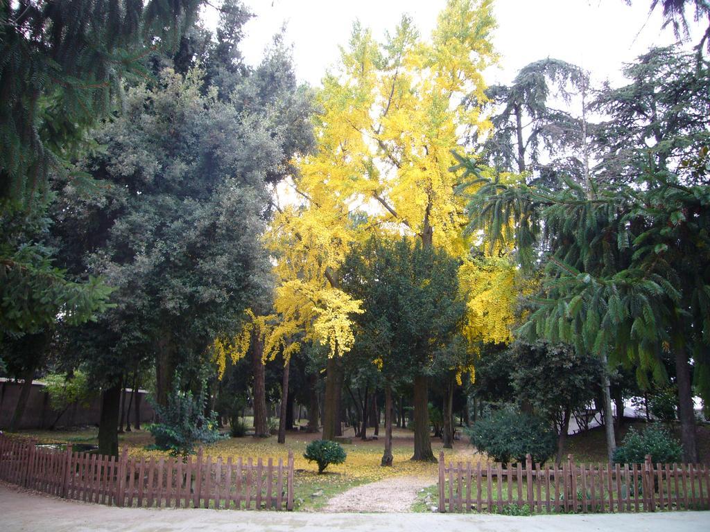 Villa Altieri Albano Laziale Bagian luar foto