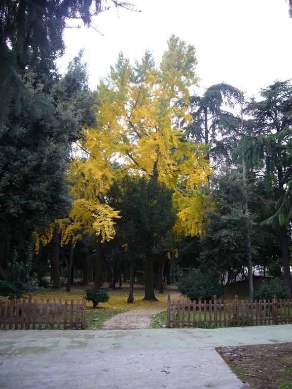 Villa Altieri Albano Laziale Bagian luar foto