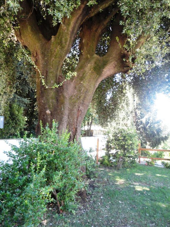 Villa Altieri Albano Laziale Bagian luar foto