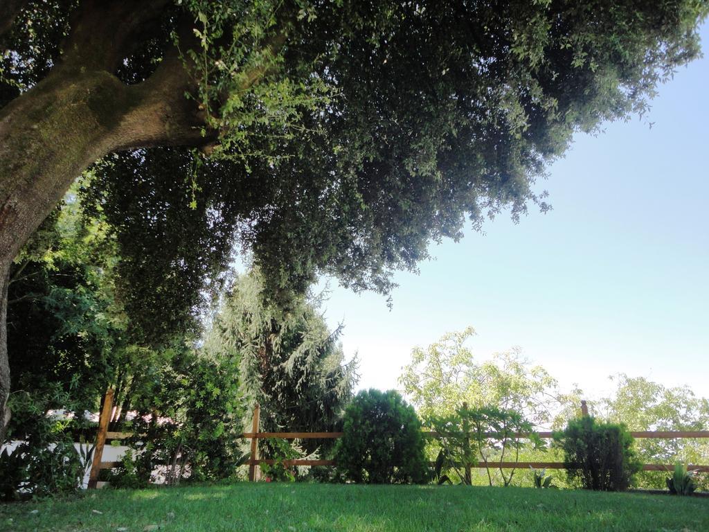 Villa Altieri Albano Laziale Bagian luar foto